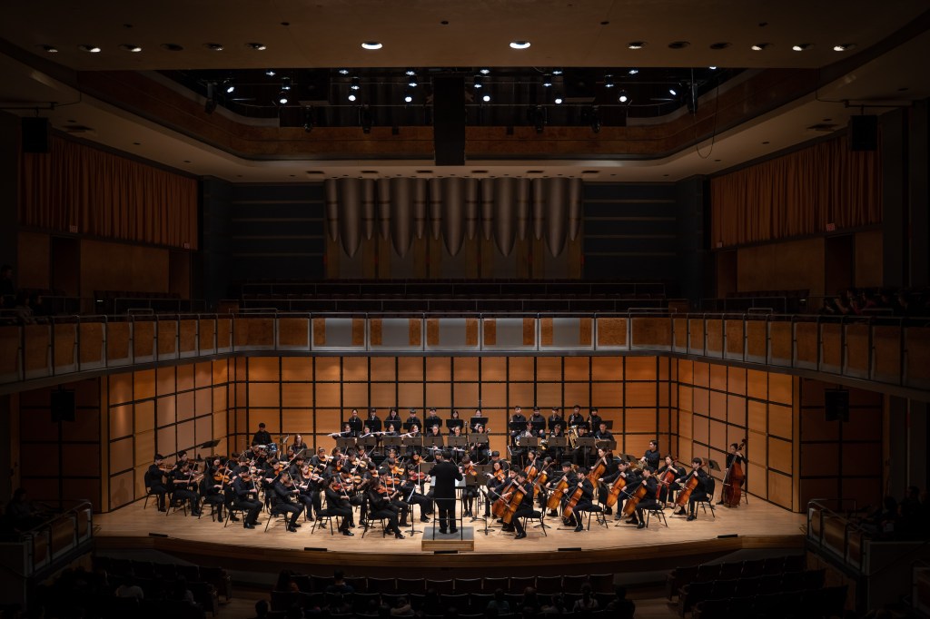 Classical musicians playing music on stage during live concert.